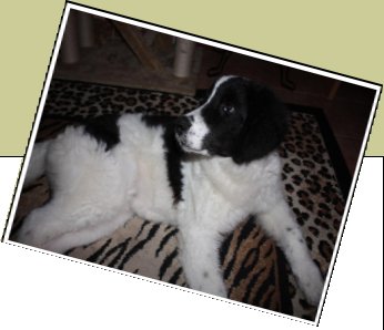 Bild : Zoey